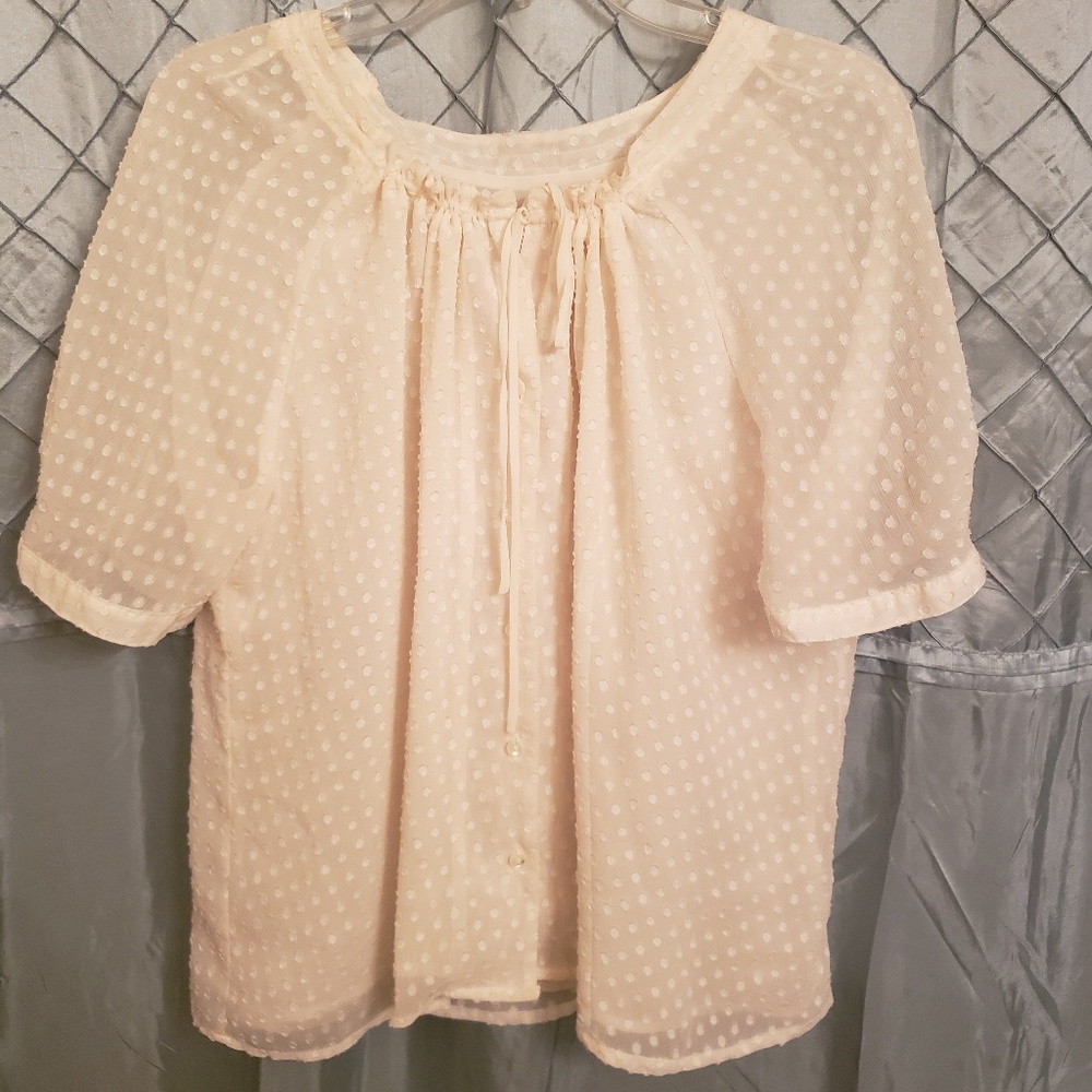 💛 Covington Gorgeous Cream Button Down Blouse 💛